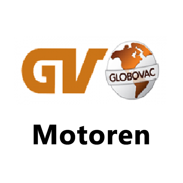 globovac_unterkategorien_MOTOREN_NEU.jpg